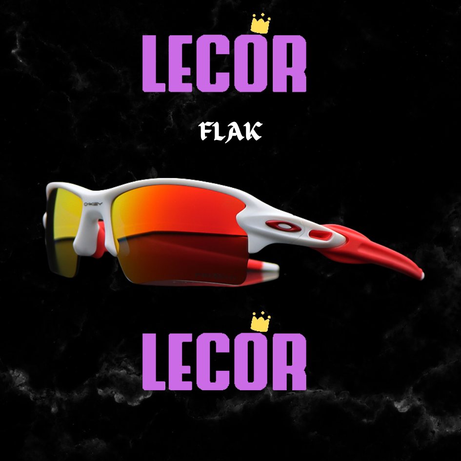 F l a k 2.0
