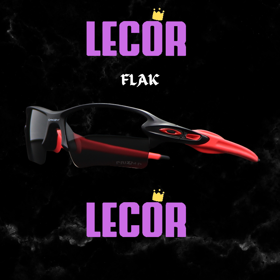 F l a k 2.0