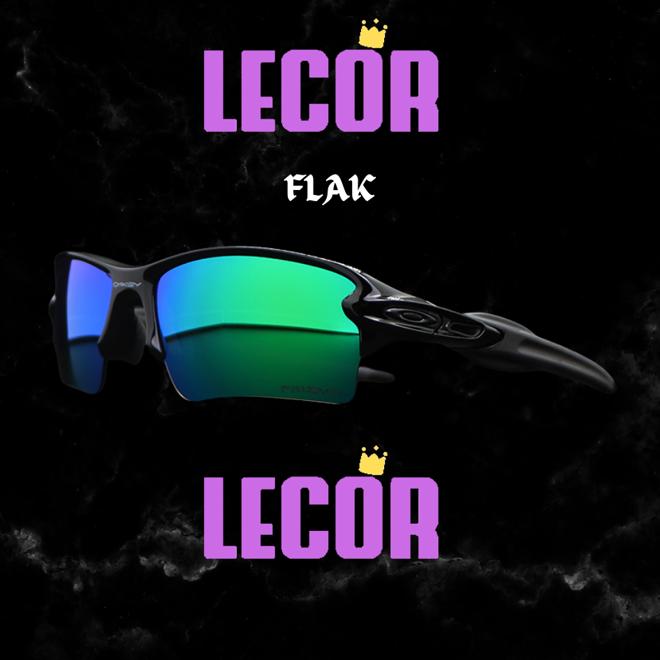 F l a k 2.0