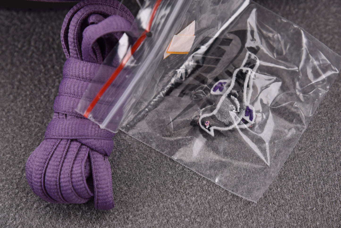 NK Dunk SB Low“Purple Pigeon”